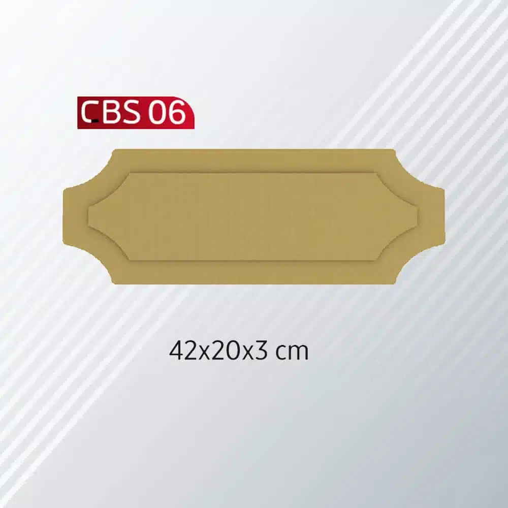 CBS-06