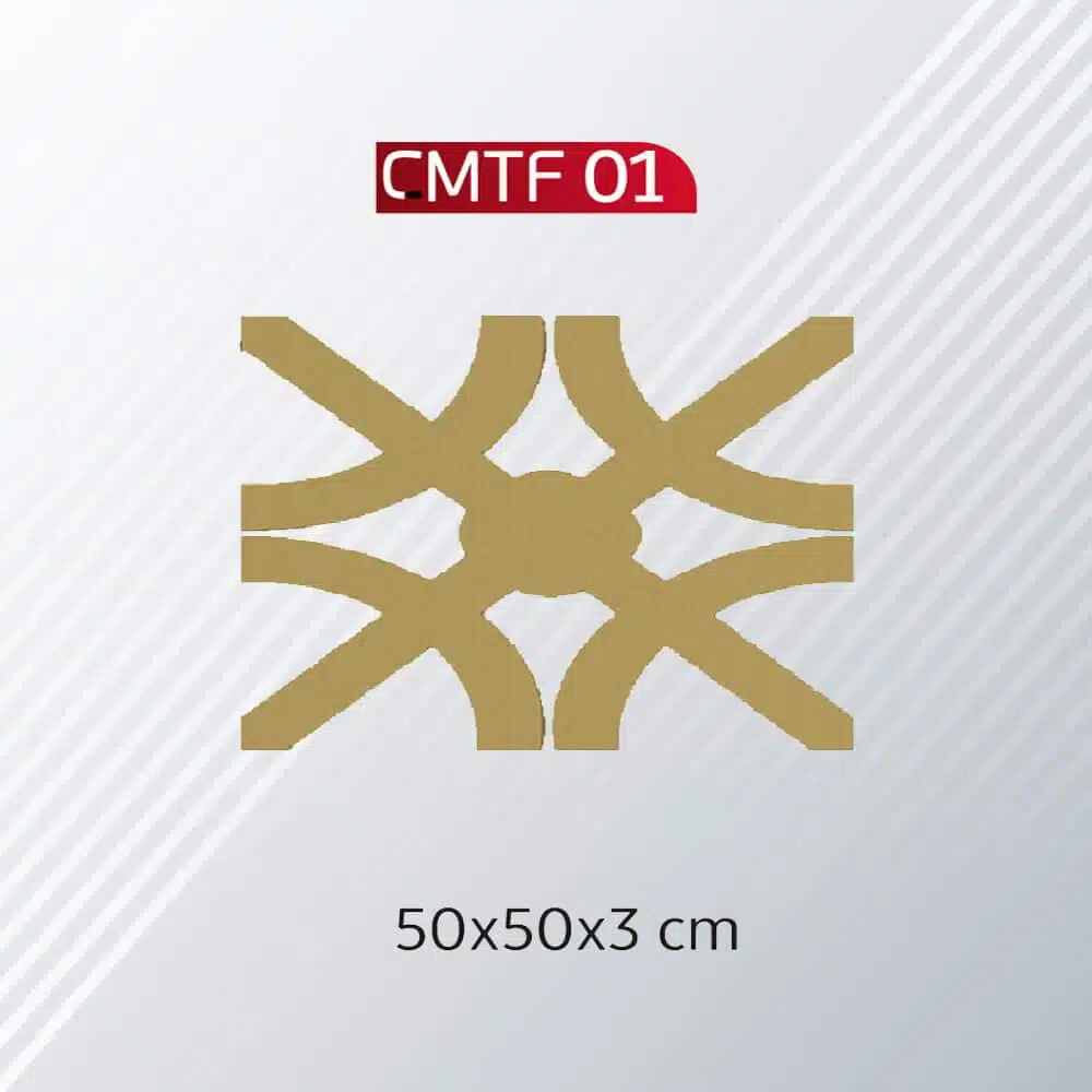 CMTF-01