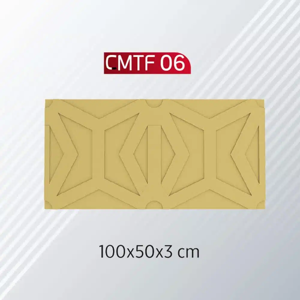 CMTF-06