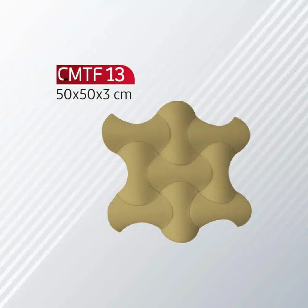 CMTF-13