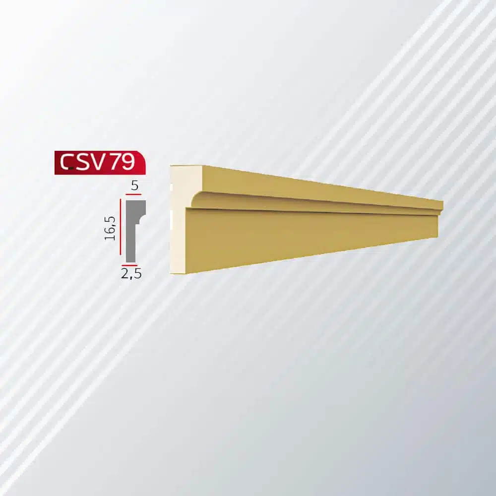CSV-79