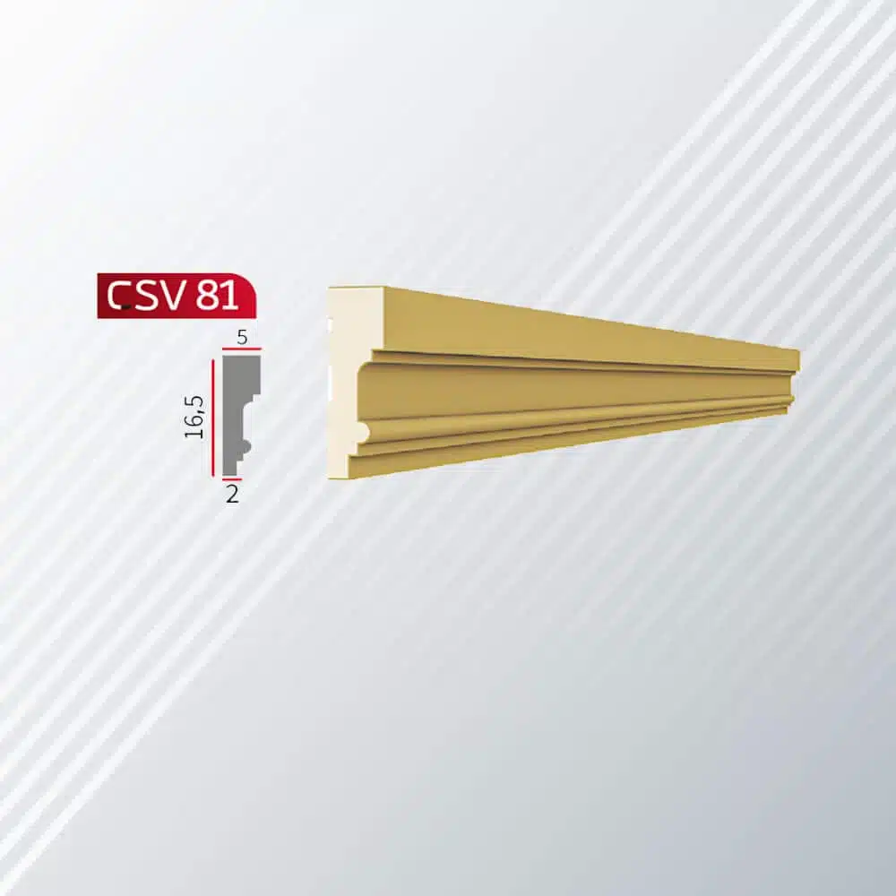 CSV-81