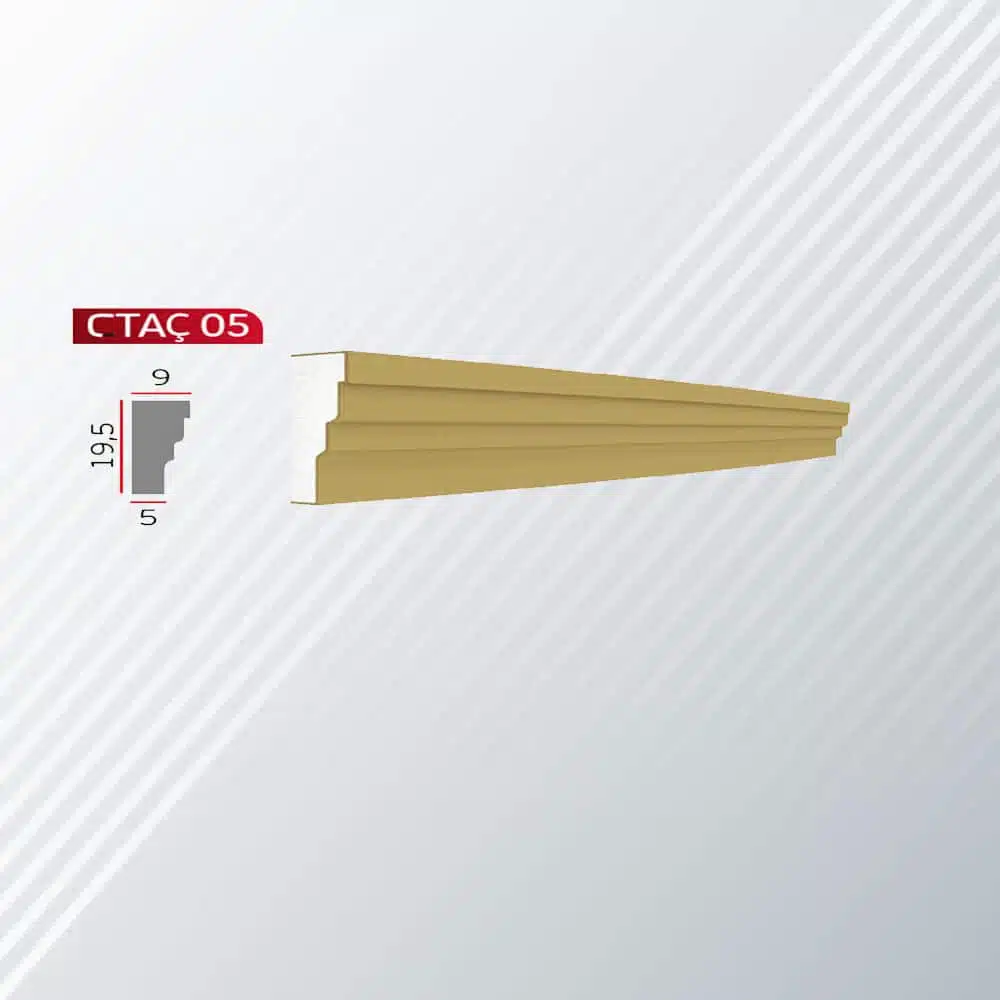 CTAÇ 05