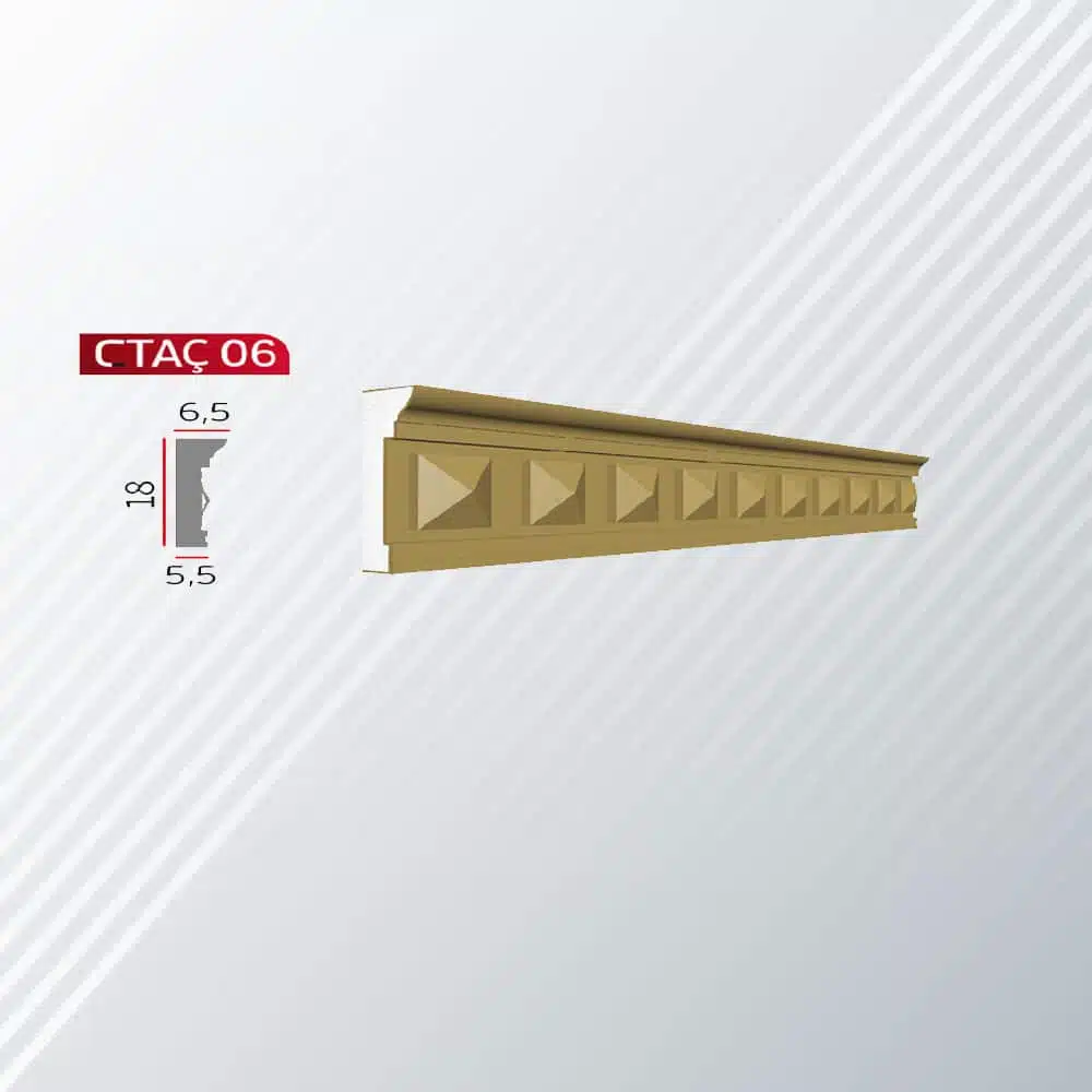 CTAÇ 06