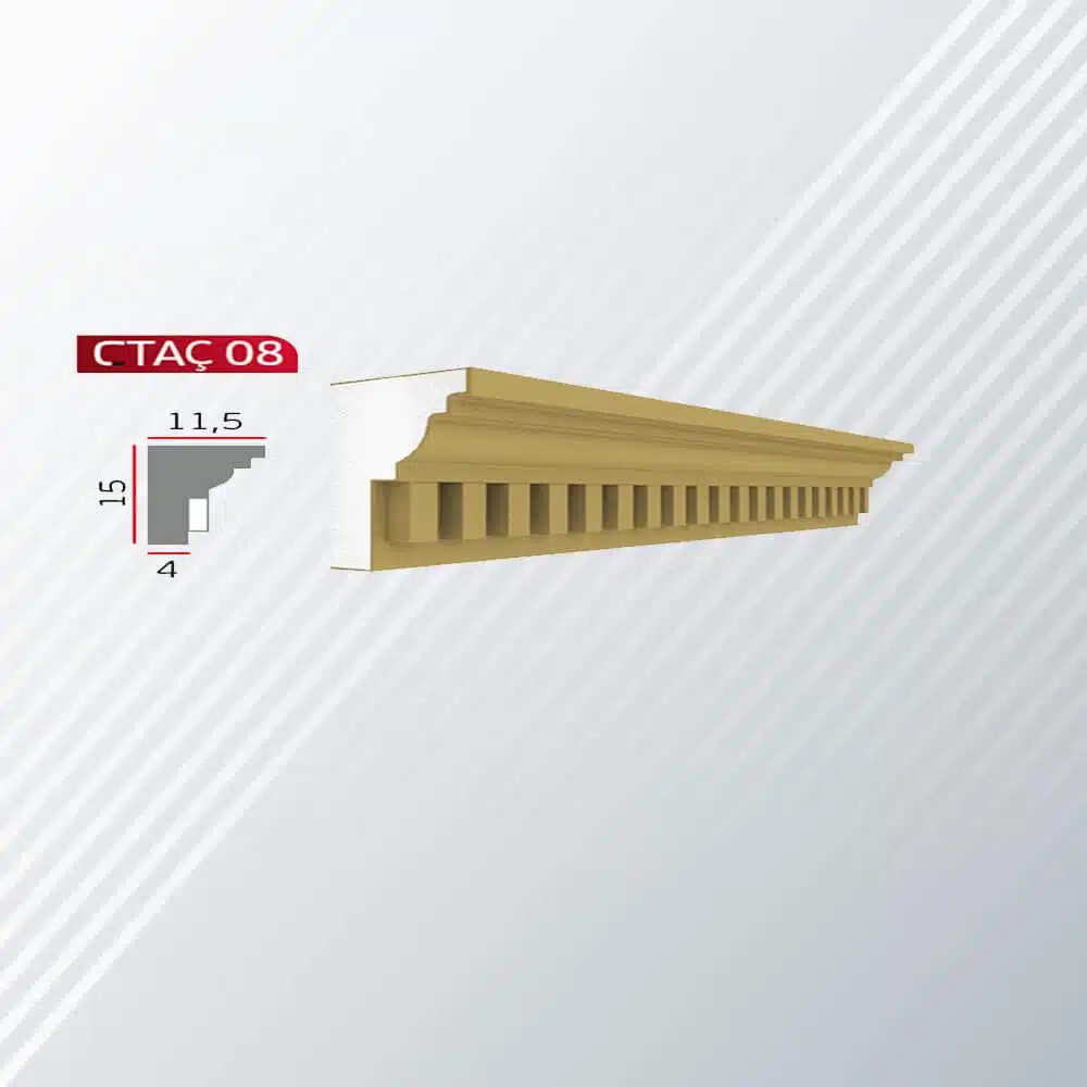 CTAÇ 08