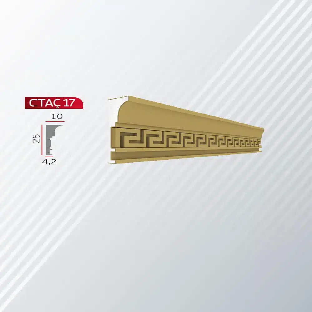 CTAÇ 17