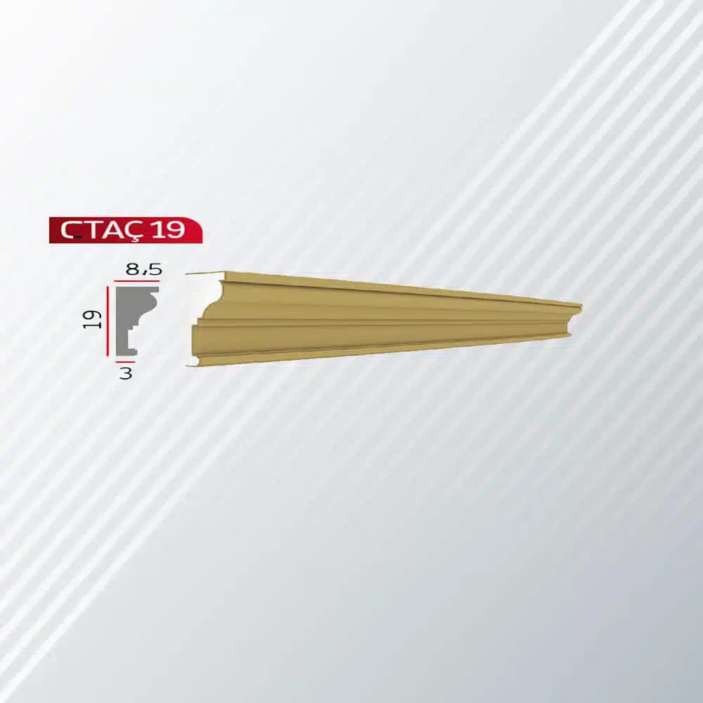 CTAÇ 19