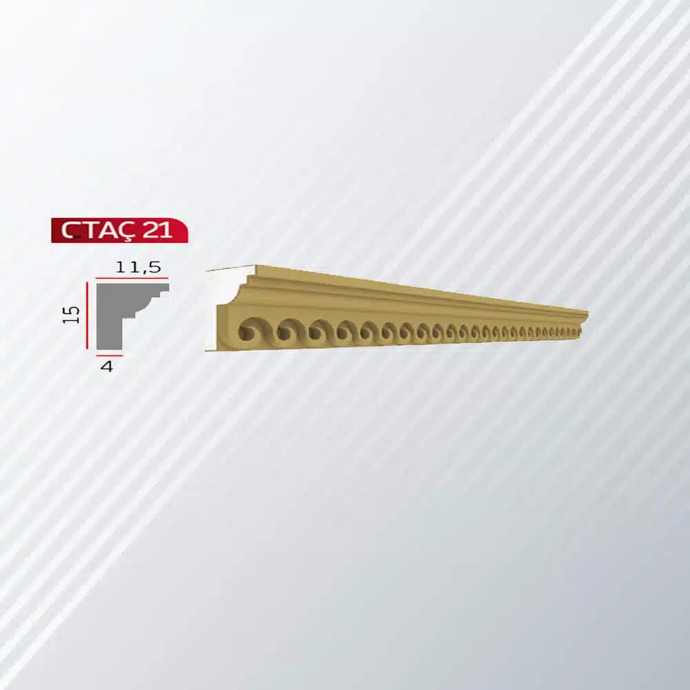 CTAÇ 21