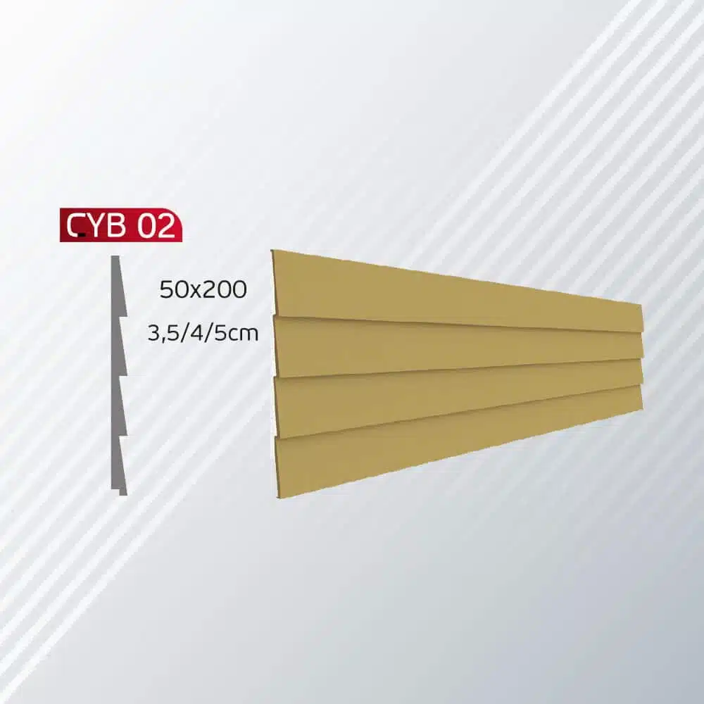 CYB-02
